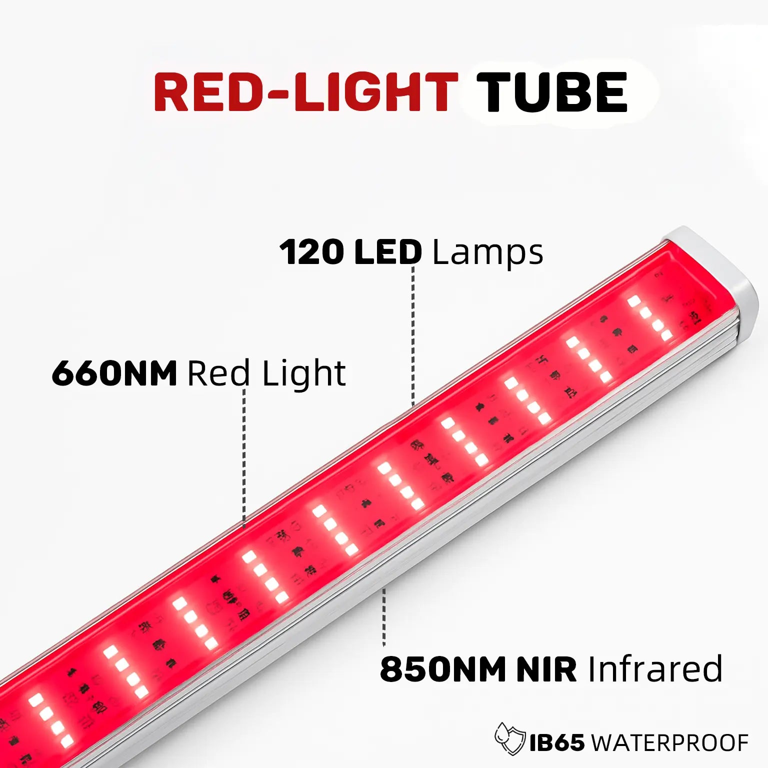 the top level red light session 